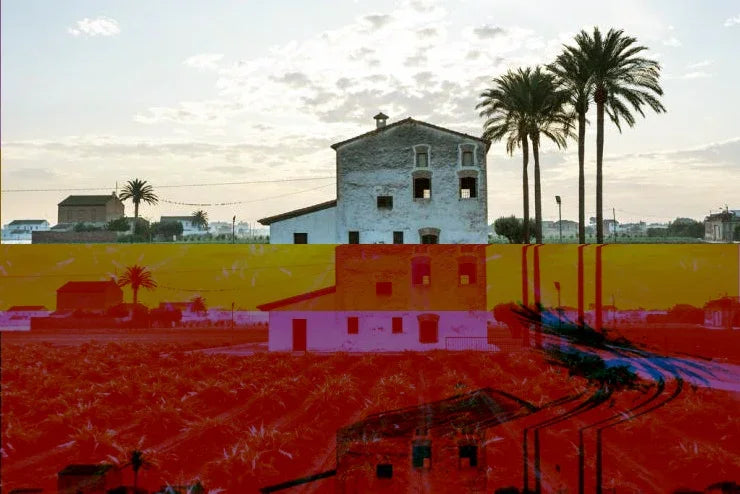 Paesaggio rurale con case bianche, palme e campi colorati al tramonto